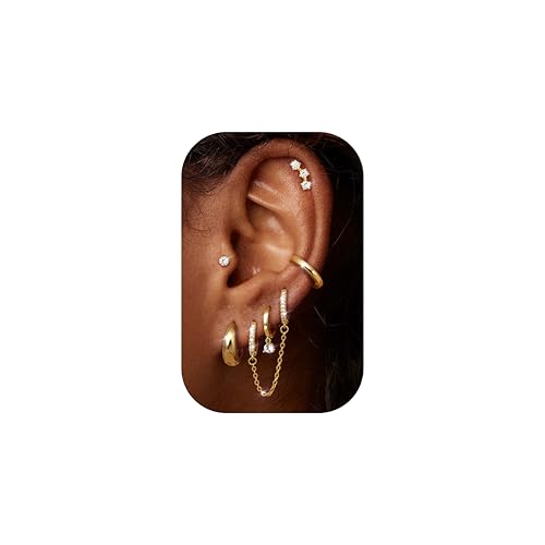 Diamday 6 Paar Ohrringe Set Für Damen Gold Silvber Creolen Ohrstecker Chirurgenstahl Piercing Ohr Medizinische Zirkon Ohrstecker Knorpel Helix Conch Tragus Ohrringe für Mehrfache Piercings Diamday 6 Paar Ohrringe Set Für Damen Gold Silvber Creolen Ohrstecker Chirurgenstahl Piercing Ohr Medizinische Zirkon Ohrstecker Knorpel Helix Conch Tragus Ohrringe für Mehrfache Piercings von Diamday