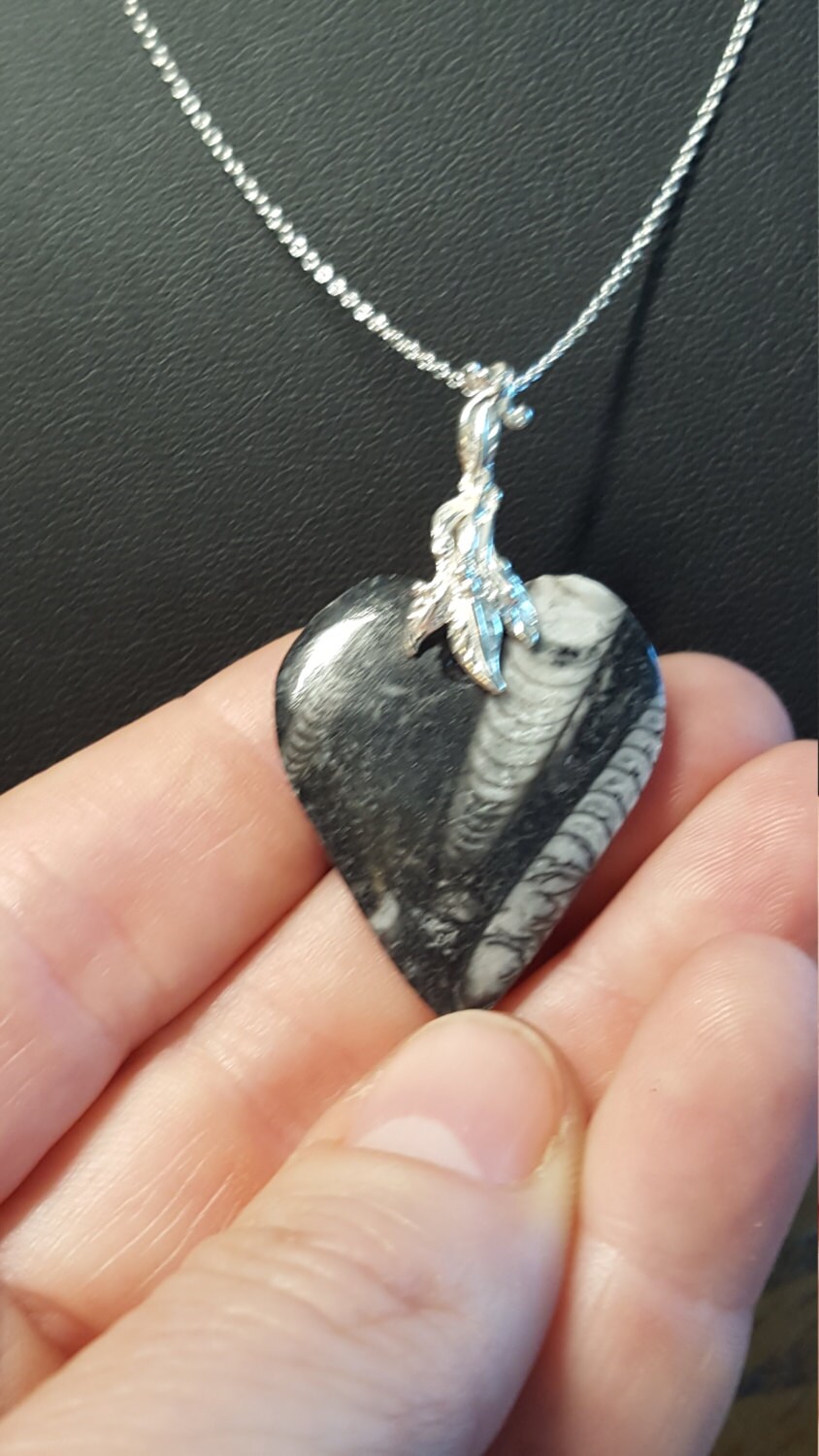 Fossil Ammonit Orthoceras-Herz-Anhänger Mit Sterling Silber Kette von DianaReevesJewelry