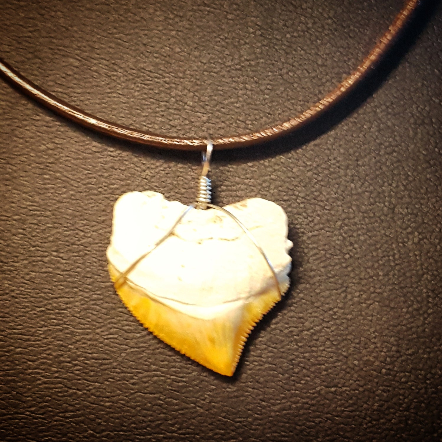 Haifisch Zahn Anhänger Auf Einer 16 Zoll Leder Kette Mit Silber Verschluss von DianaReevesJewelry