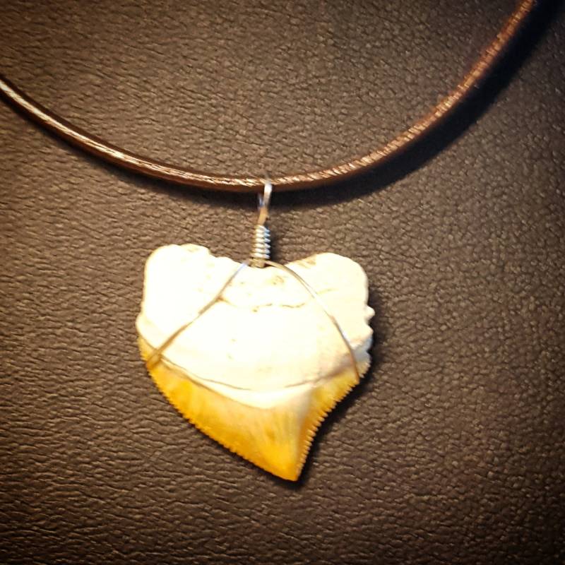 Haifisch Zahn Anhänger Auf Einer 16 Zoll Leder Kette Mit Silber Verschluss von DianaReevesJewelry