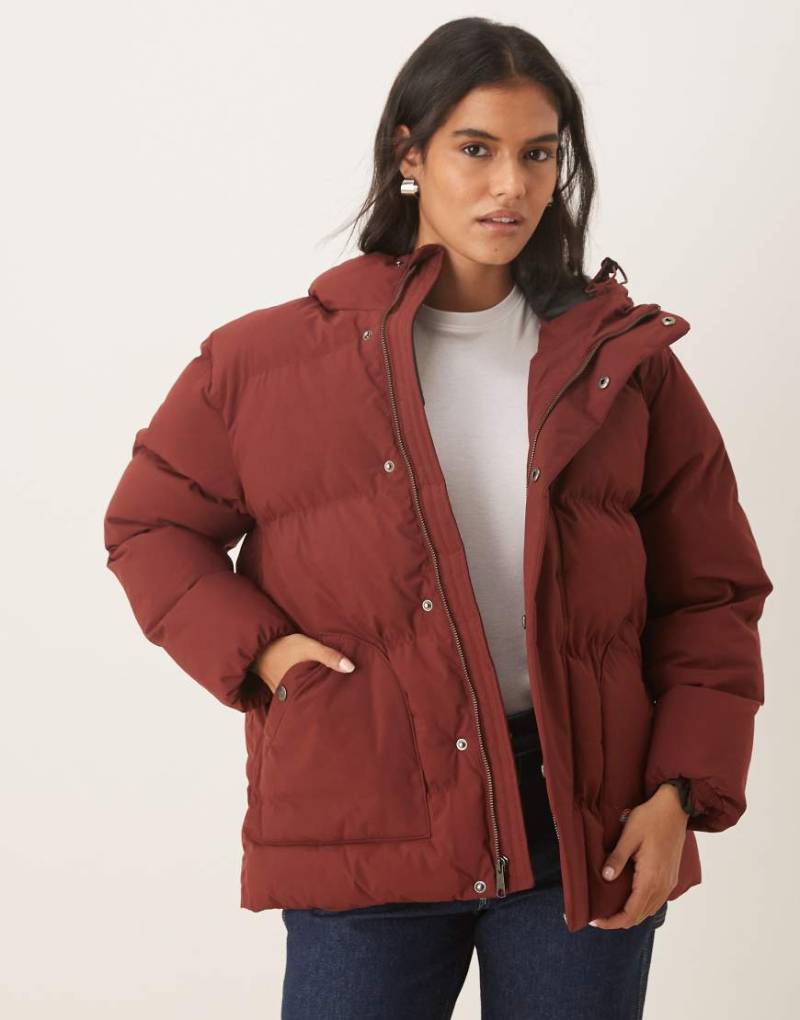 Dickies - Eagleville - Pufferjacke in Mittelbraun mit Kapuze-Brown von Dickies