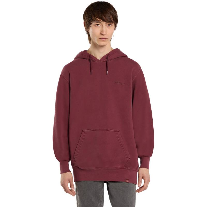 Dickies Herren Hoodie PLENTYWOOD HOODIE von Dickies