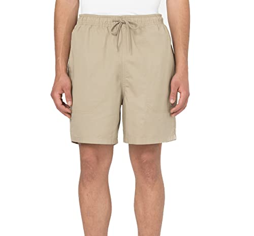 Dickies Herren Shorts Pelican Rapids, Farbe:Desert Sand, Größe:M von Dickies