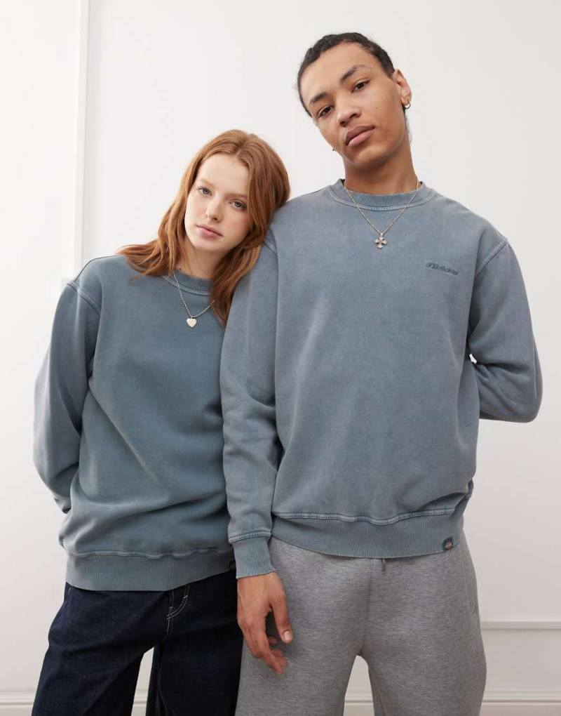 Dickies - Plentywood - Sweatshirt in verwaschenem Mittelblau mit kleinem Logo von Dickies