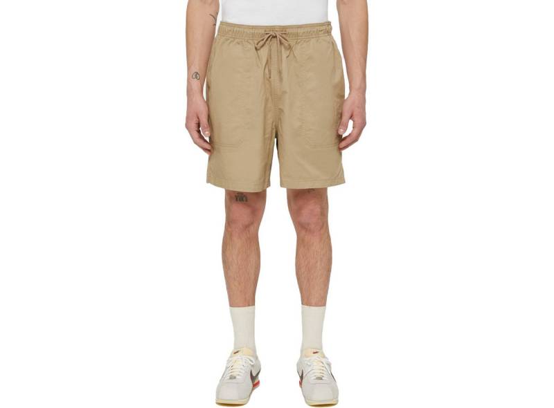 Dickies Shorts PELICAN RAPIDS PELICAN RAPIDS von Dickies