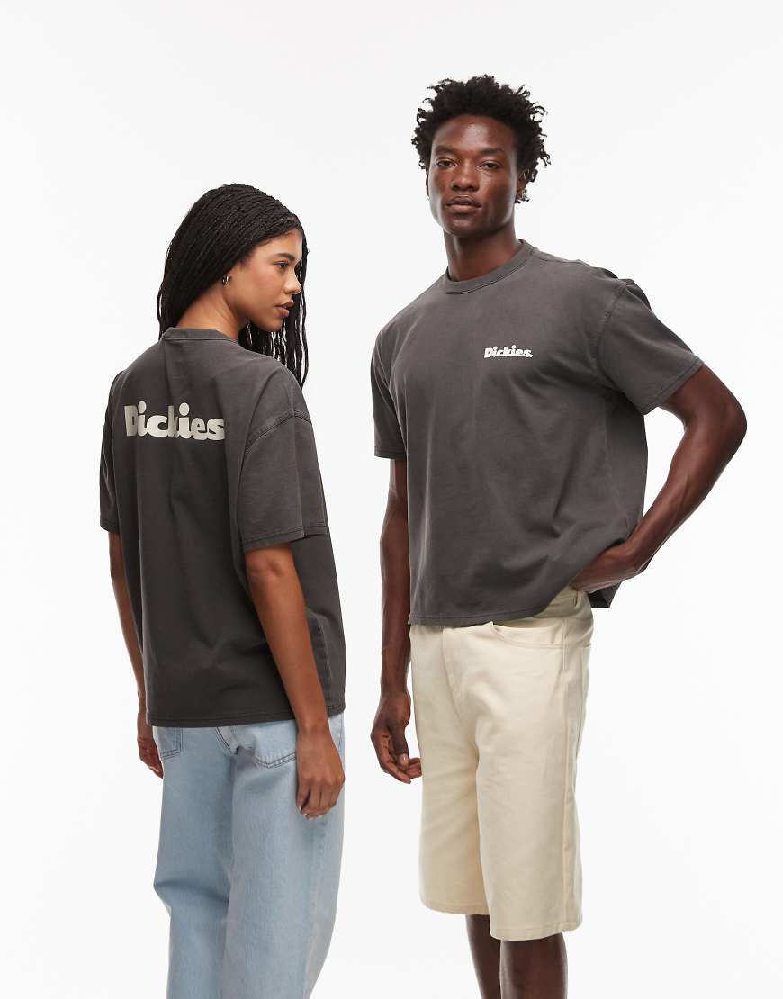 Dickies - Slayden - Schweres T-Shirt in verwaschenem Schwarz mit großem Rückenprint und großem Logo von Dickies