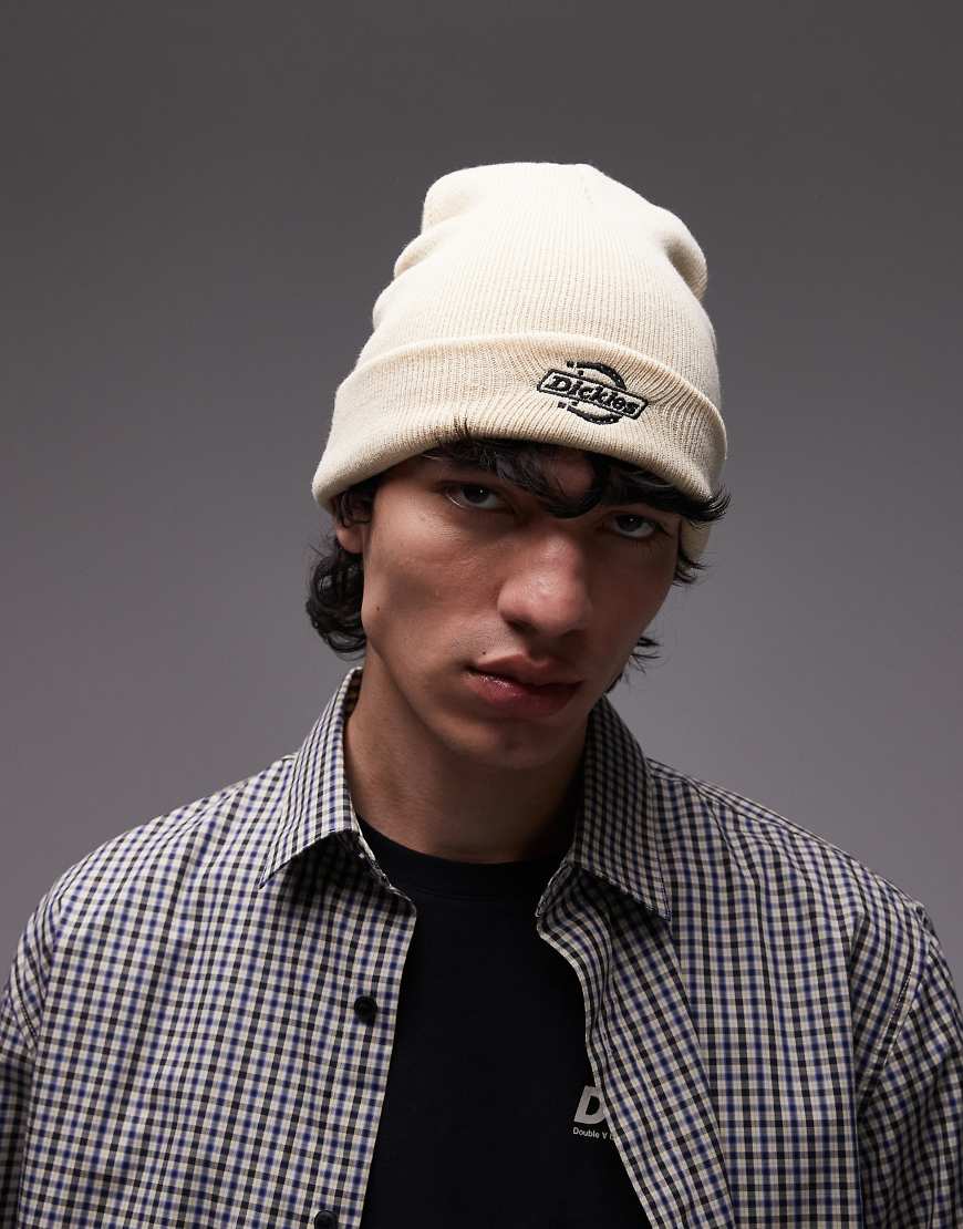 Dickies - Summerdale - Strickmütze in Wollweiß von Dickies