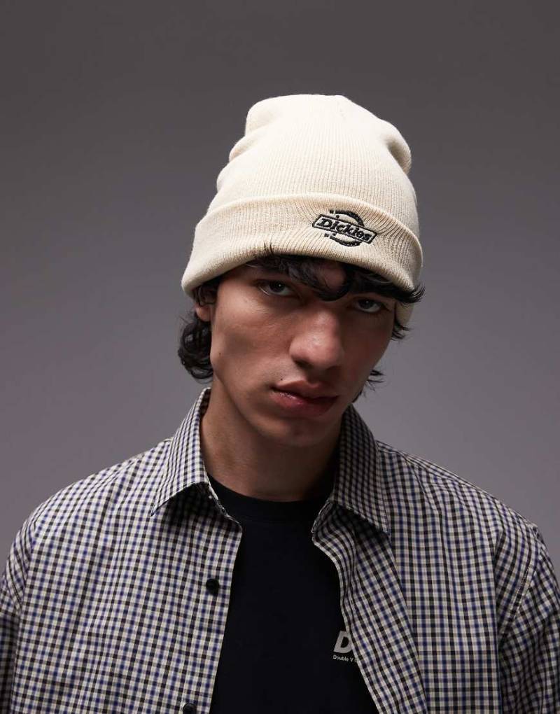 Dickies - Summerdale - Strickmütze in Wollweiß von Dickies