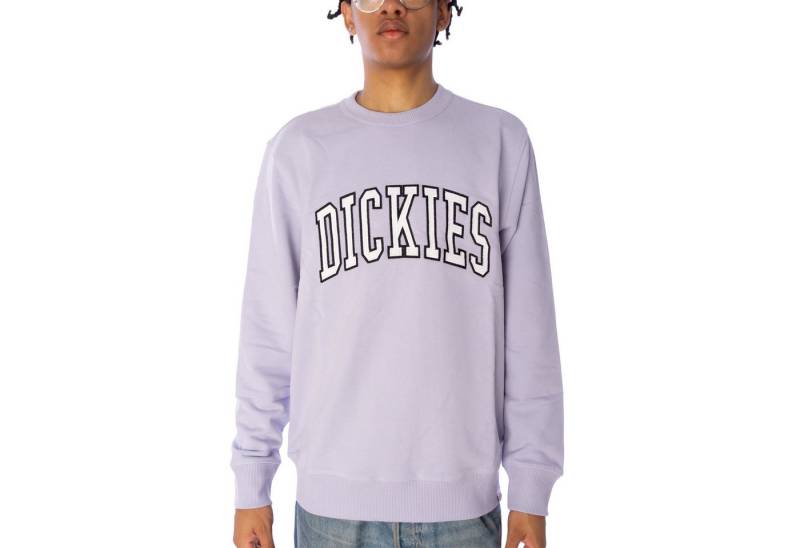 Dickies Sweater Sweatpulli Dickies Aitkin von Dickies