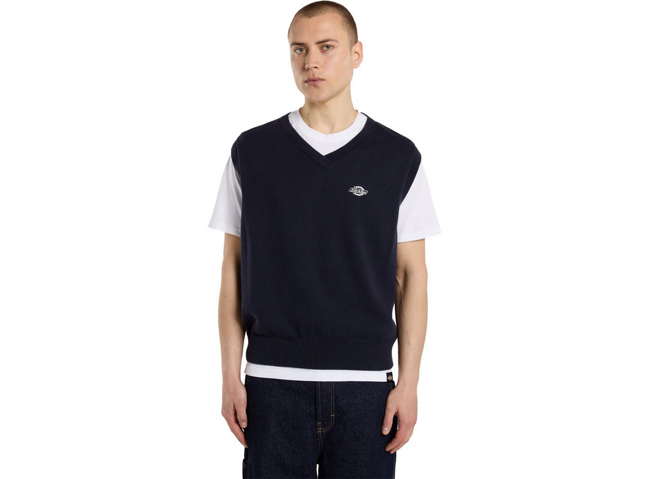 Dickies Sweatshirt SUMMERDALE SWEATER VEST SUMMERDALE SWEATER VEST Dickies Sweatshirt SUMMERDALE SWEATER VEST SUMMERDALE SWEATER VEST von Dickies