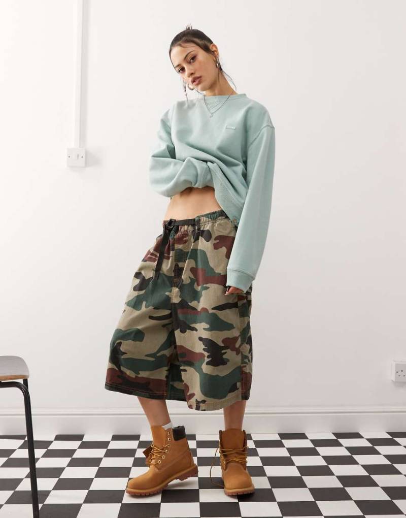 Dickies - Sweatshirt in Blau mit farblich abgestimmtem Logo von Dickies