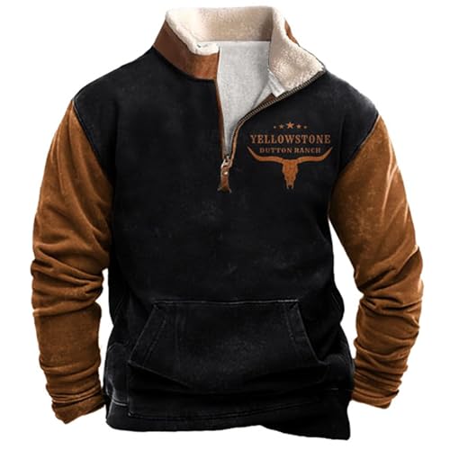 Didadihu Herren Sweatshirt 1/4 Zip Mit Kragen,Baumwolle Fleece Warm Futter Pullover Ohne Kapuze Retro Große Größen von Didadihu