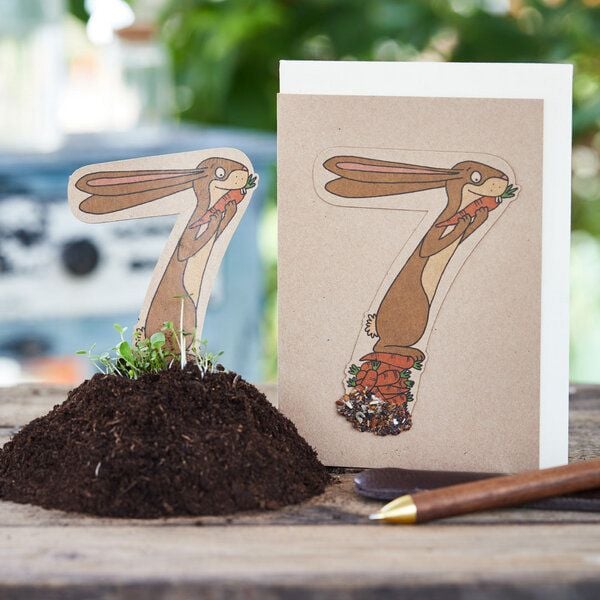 Die Stadtgärtner Karte zum 7. Geburtstag | Mit pflanzbarem Hasen mit Wildblumen-Samen von Die Stadtgärtner