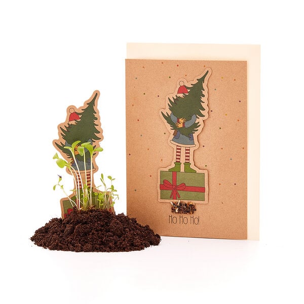 Die Stadtgärtner Nachhaltige Weihnachtskarte zum Einpflanzen mit Wichtel-Motiv inkl. Umschlag | Grußkarte Weihnachten mit Saatgut | Weihnachtsgrußkarte zum Verschenken | Klappkarte mit Aufschrift Ho! Ho! Ho! von Die Stadtgärtner