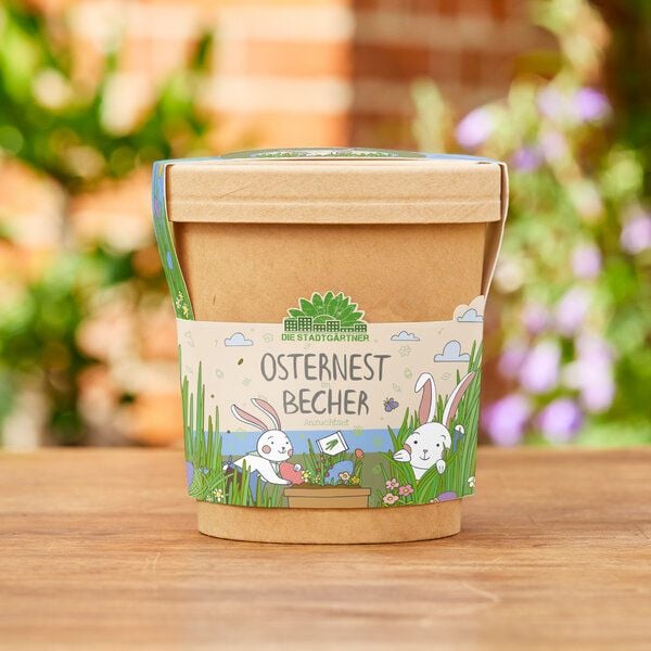 Die Stadtgärtner Osternest aus dem Becher I Ostergeschenk für Kinder I Geschenk für den Frühling und Garten I Osternest und Osterkörbchen I Ostergras von Die Stadtgärtner