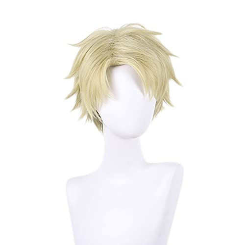 Anime Cosplay Wig for Twilight Cosplay Wigs With Free Wig Cap Best Costume Accessories For Halloween Party (Cosplay-Beige) von DigiTizerArt