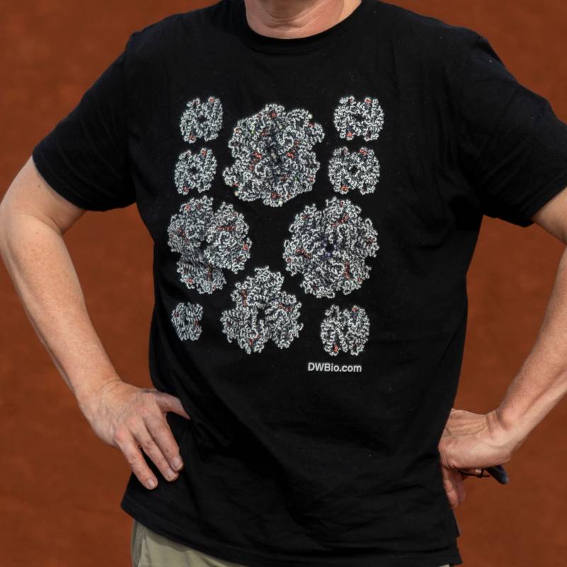 Hämoglobin Wissenschaft T-Shirt-Männer Frauen Hämoglobin Wissenschaft T-Shirt-Männer Frauen von DigitalWorldBiology