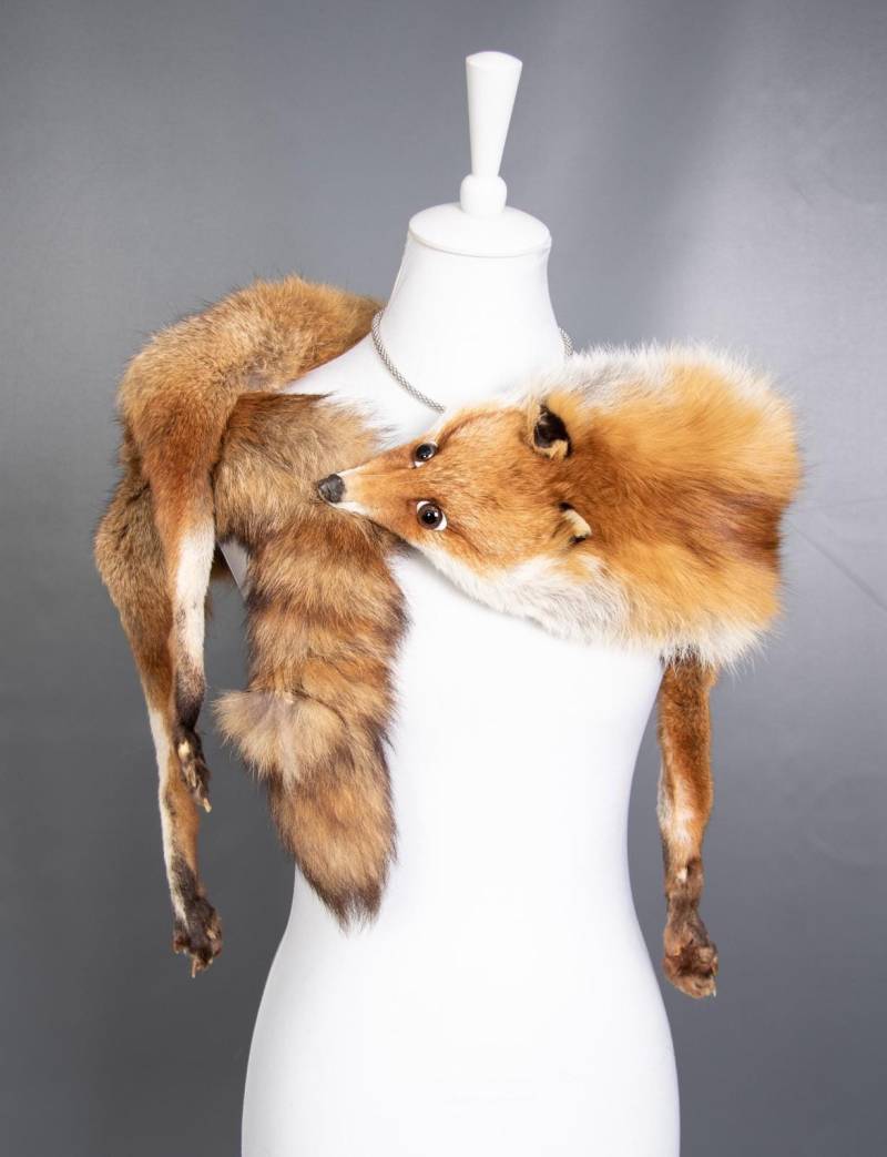 1399 Glamouröse Echt Rot Fuchs Mantel Pelz Jacke Stola Wunderschöner Look 1399 Glamouröse Echt Rot Fuchs Mantel Pelz Jacke Stola Wunderschöner Look von DilartPlus