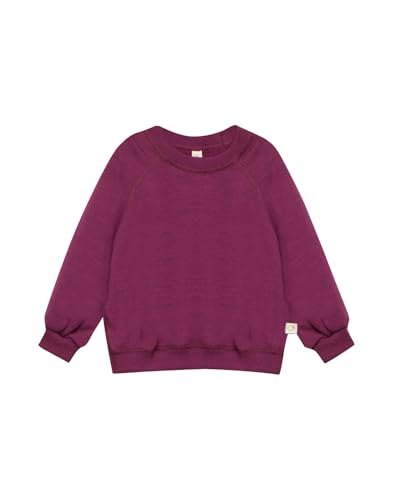 Dilling Sweatshirt aus natürlicher Merinowolle für Babys - Holunder 80 von Dilling