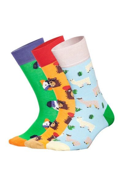 DillySocks Socken „Paws & Friends Mit Geschenkbox“ von DillySocks