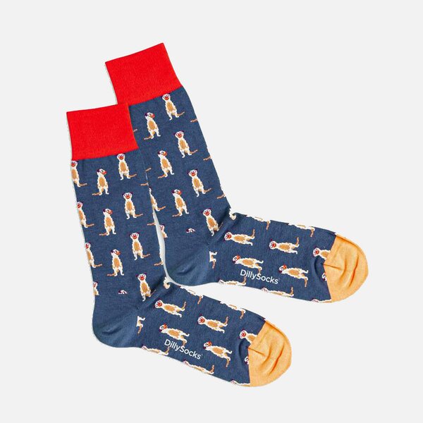 DILLYSOCKS Socken MEERKAT von DillySocks