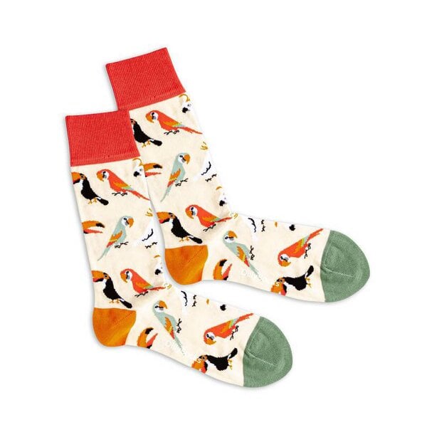 DILLYSOCKS Socken SAND AVIARY von DillySocks