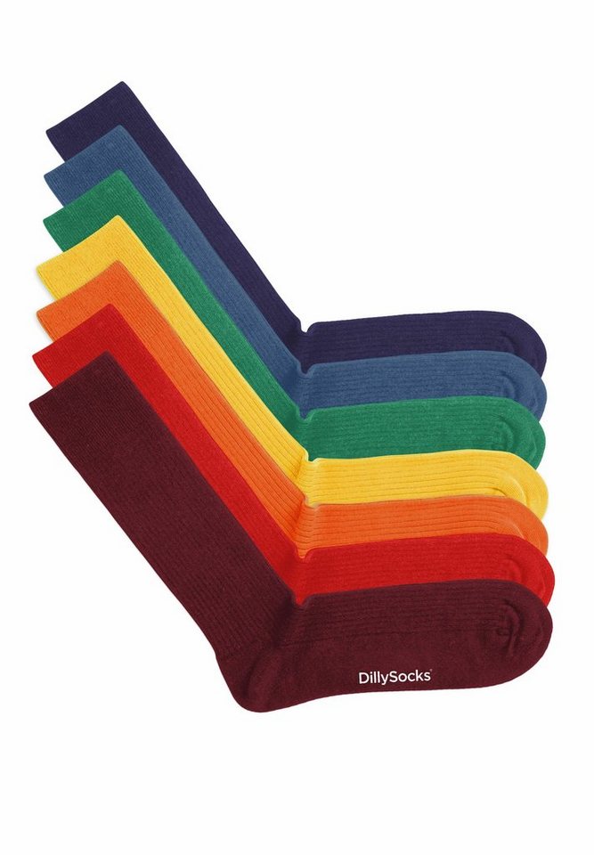 DillySocks Basicsocken Ribbed Rainbow Collection aus nachhaltiger Baumwolle, recyceltes Polyamid von DillySocks