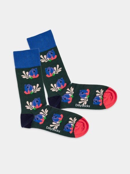 DillySocks Bunte Socken, Bio Baumwolle, Bear says hello von DillySocks