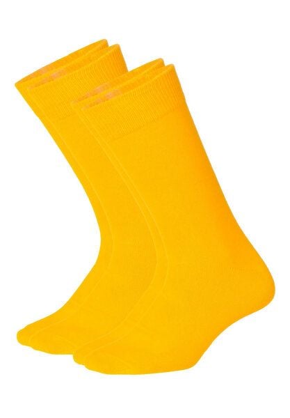 DillySocks Socken „D-compose 2er Set“ von DillySocks