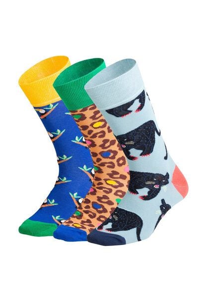 DillySocks Socken „Exotic Trio (3er Box)“ von DillySocks