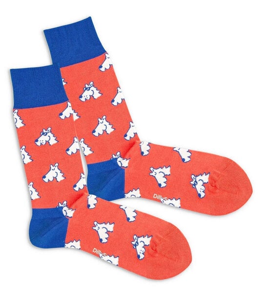 DillySocks Socken Cool Dog aus Biobaumwoll-Mix von DillySocks