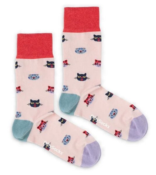 DillySocks Socken Curious Cats aus Biobaumwoll-Mix von DillySocks