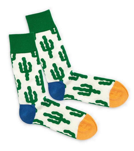 DillySocks Socken Desert Plants aus Biobaumwoll-Mix von DillySocks