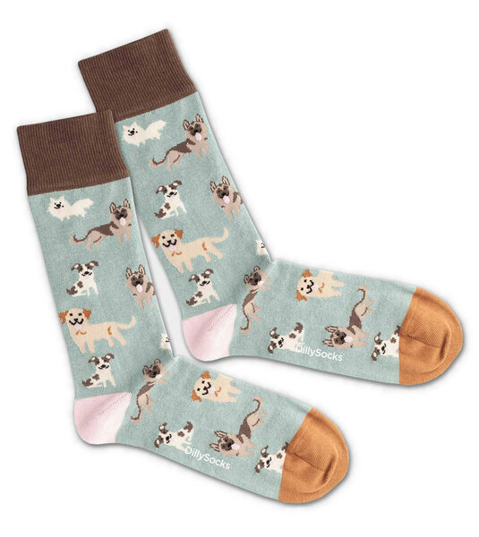 DillySocks Socken - Doggy Dog von DillySocks