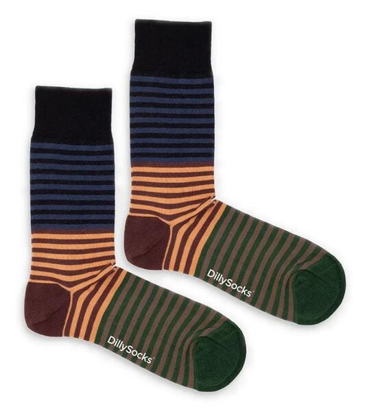 DillySocks Socken Earthy Stripes aus Biobaumwoll-Mix von DillySocks