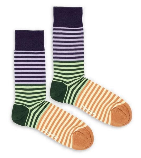 DillySocks Socken Harvest Stripes aus Biobaumwoll-Mix von DillySocks