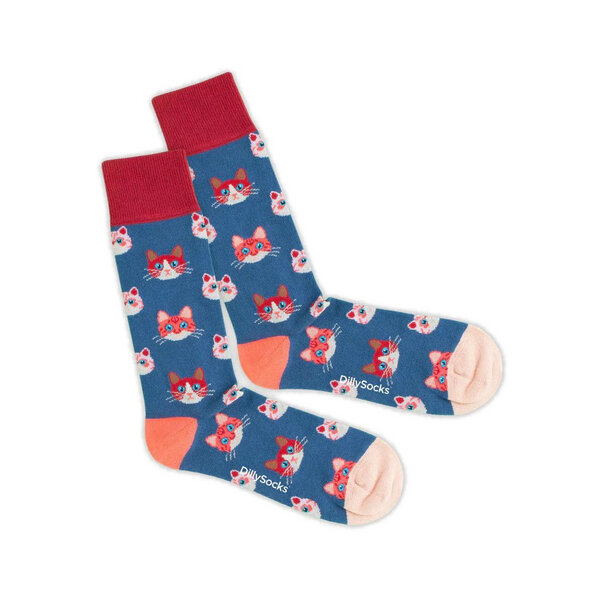 DillySocks Socken Kitten aus Biobaumwoll-Mix von DillySocks