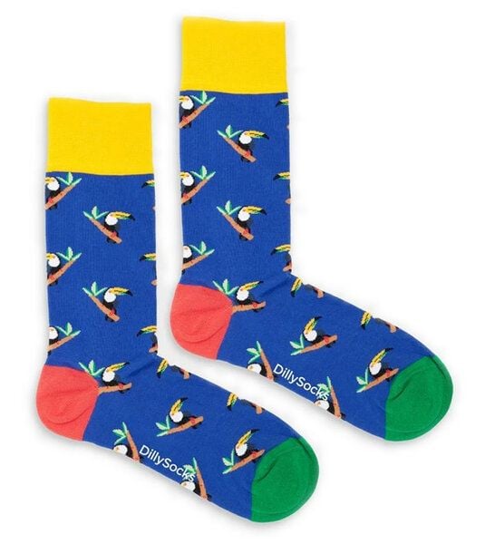 DillySocks Socken Tropical Toucan aus Biobaumwoll-Mix von DillySocks
