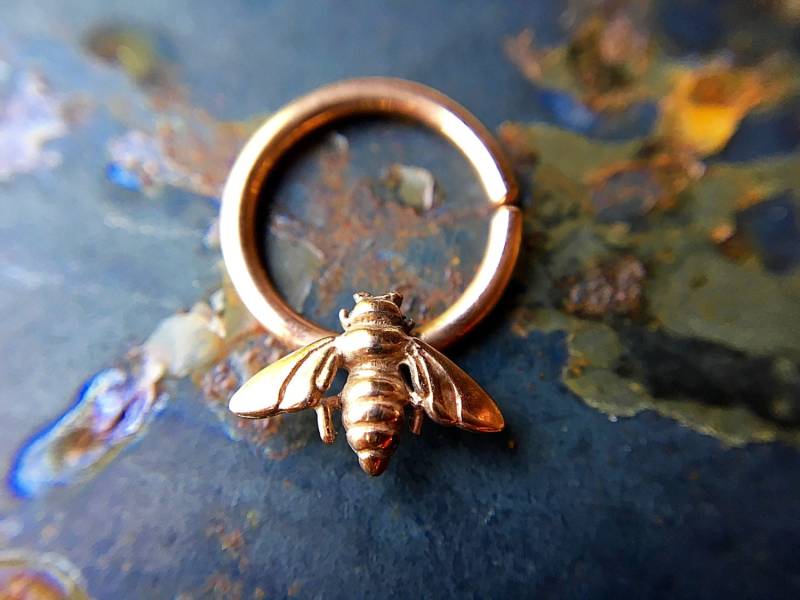 Rosegold Bienen Septum Ring ~ Roségold Honig Biene Nasenring Insekt Körperschmuck Daith Piercing Hummel Hoop Platte Oder Massiv Gold Rosegold Bienen Septum Ring ~ Roségold Honig Biene Nasenring Insekt Körperschmuck Daith Piercing Hummel Hoop Platte Oder Massiv Gold von DinanRings