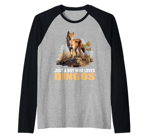 Herren Dingos Dingo Raglan von Dingos Dingo Tier Shop