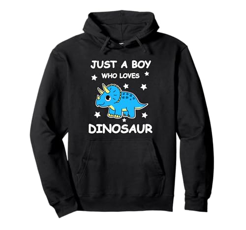 Boy Loves Dinosaur Pullover Hoodie von Dinosaurier Geschenke für Damen Herren Kinder