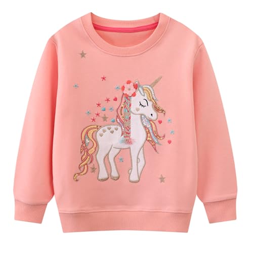 Dioshark Sweatshirt Mädchen Rosa Langarm Baumwolle Pullover Einhorn Blumen Glitzer Pailletten Stickerei Langarmshirt Weich Frühling Herbst Pulli Casual Schule Tops für Kinder Alter 4-5 Jahre von Dioshark