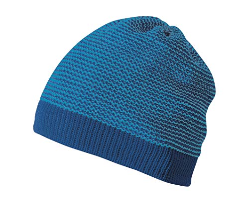 Disana Beanie aus 100% Bio-Merinoschurwolle (marine und blau, 01 (42-46 cm)) von Disana