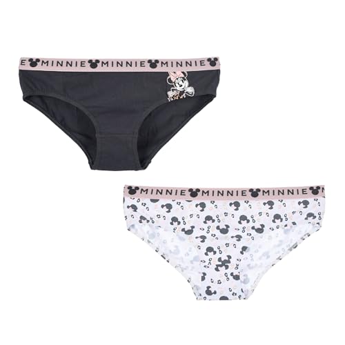 Disney Minnie Mouse Damen Unterhosen, 2er-Pack Slips, Weiche Stretch-Baumwolle, Klassische Höschen, Unterwäsche Damen | Größe XL von Disney