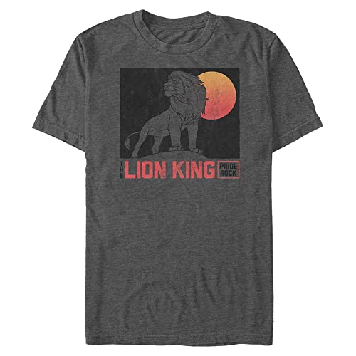 Disney Unisex The Lion King-Rock Star Gradient Organic Short Sleeve T-Shirt, Melange Black, L von Disney