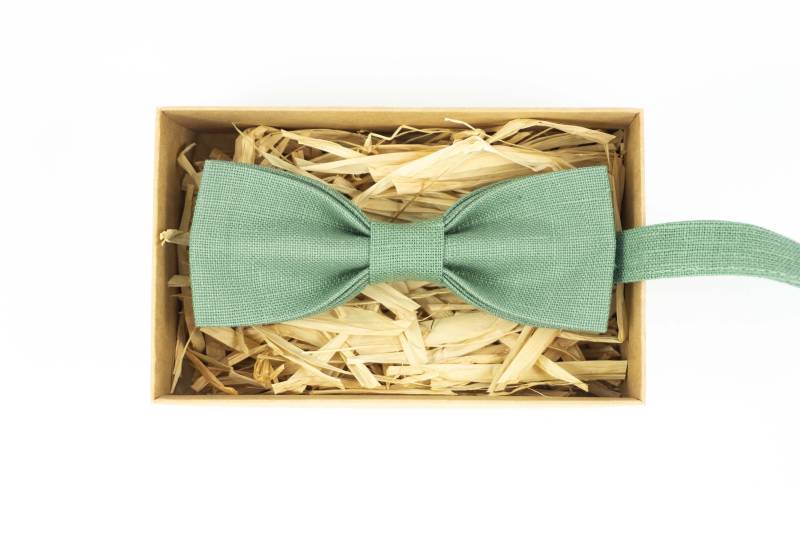 Salbeigrüne Leinen Fliege Handgefertigte Fliege Im Fledermausdesign von Diviclo