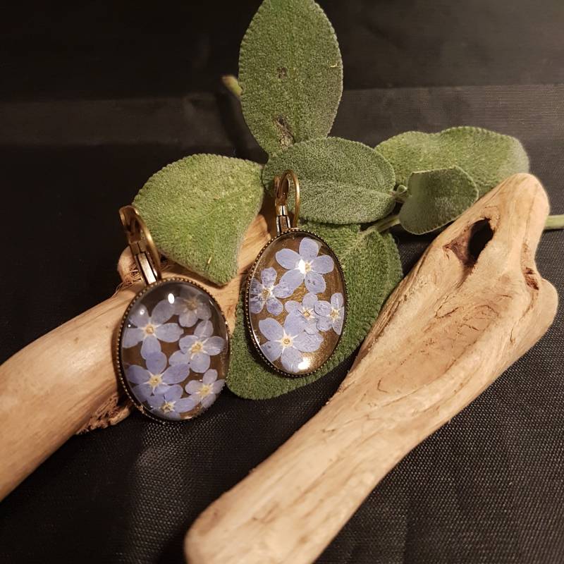 Ohrringe Mit Echten Vergissmeinnicht Blüten von DiyVersicum