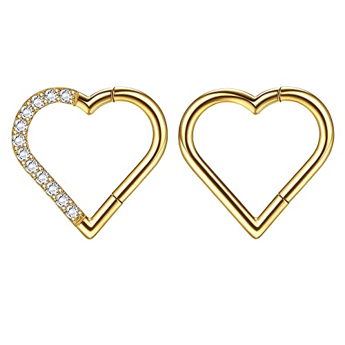 Dochais 2 Stück Nasenring Titan, Nasenringe Nasenpiercing, Hoop Nose Ring, Septum Ringe, Helix Ring Set, Daith Ringe, Hoop Ohrringe Septum, Nasenring Herz für Damen Männer Gold 16G 10mm von Dochais