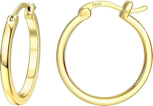 Dochais Gold Hoop Ohrringe für Frauen 14K Echtgold vergoldet Reifen mit 925 Sterling Silber Post Gold 20mm von Dochais