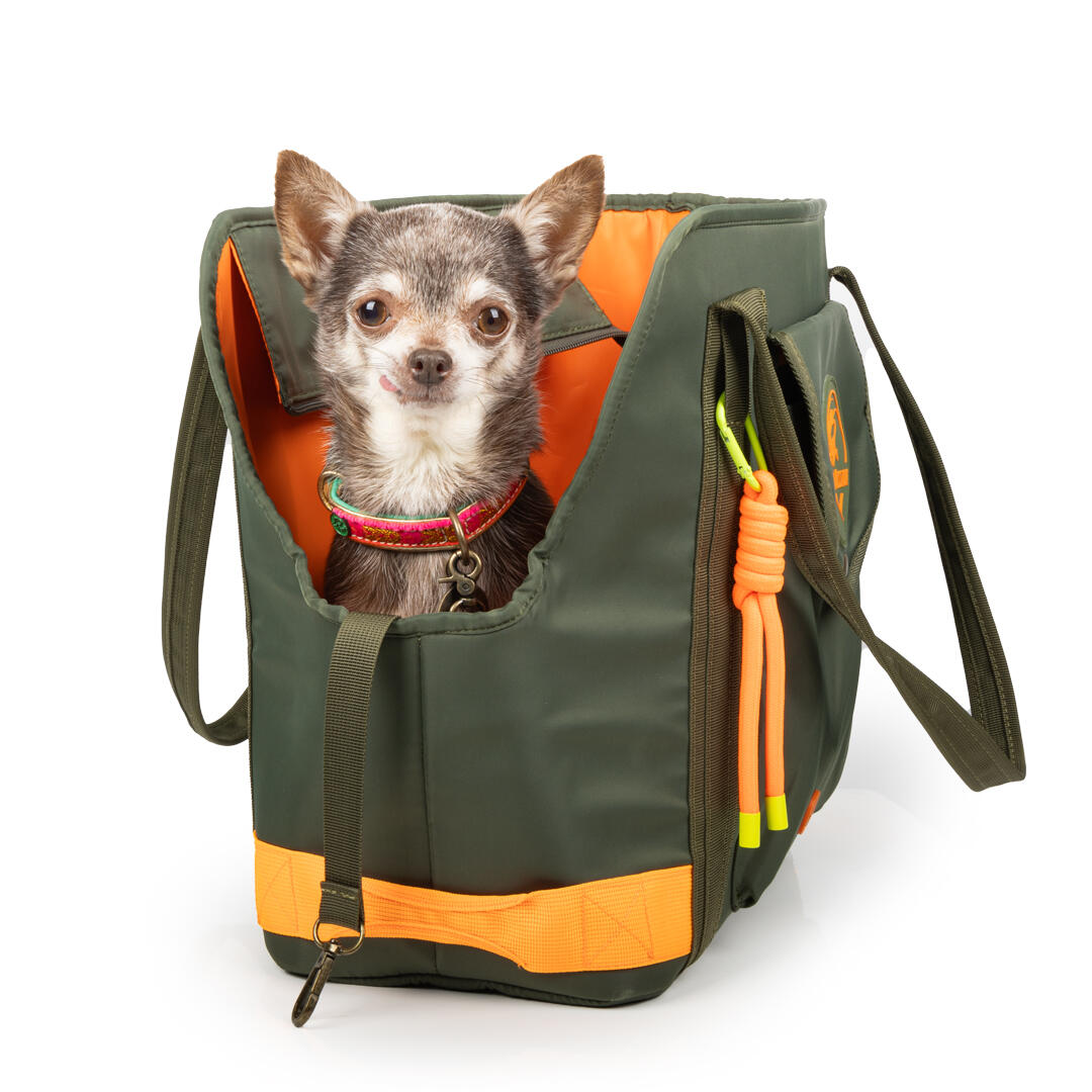 Dog with a Mission - Dog with a Mission Travel Buddy Hundetasche Koffer24 von Dog with a Mission